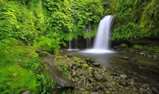 Untitled design (52)